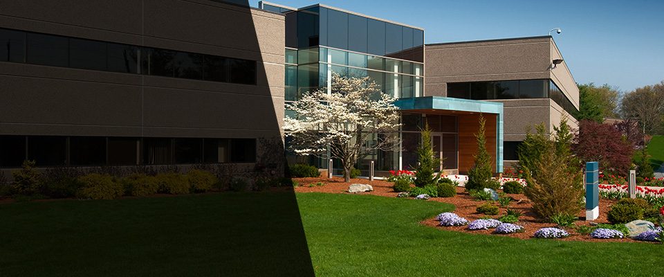 Windsor Landscapers