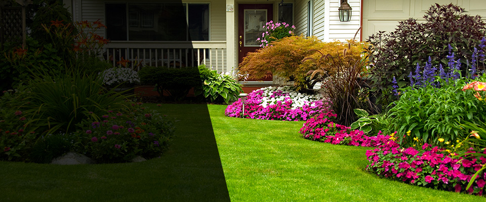 Windsor Landscapers