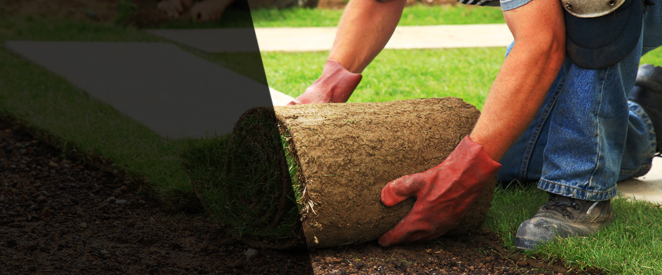 Windsor Landscapers